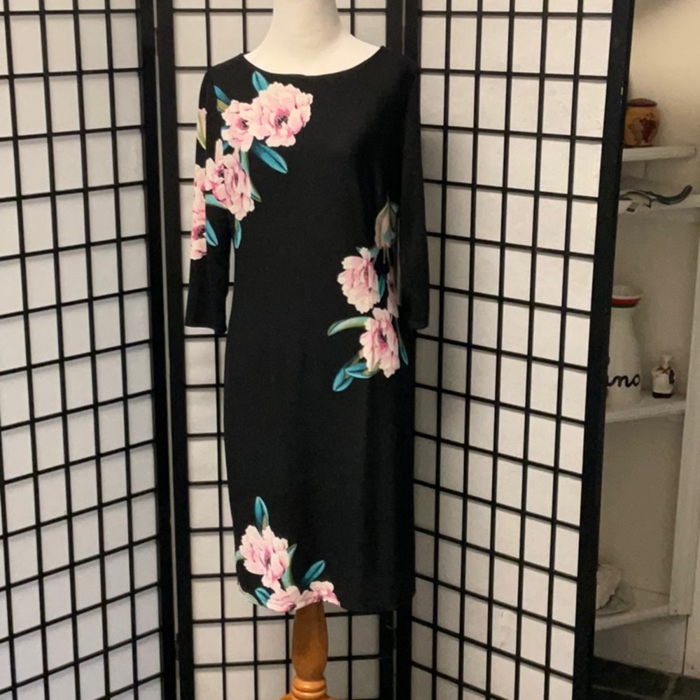 Sheath dress she dress worn once